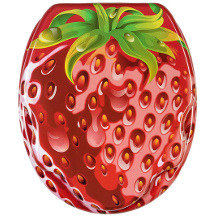 Sanilo Toilettensitz