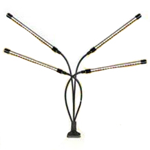 Wolezek Pflanzenlicht