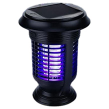 Rapizz Insektenvernichter