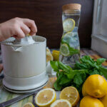 Elektrische Zitruspressen