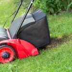 Elektro-Vertikutierer