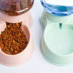 Futterautomaten für Katzen