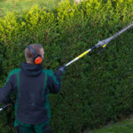 Teleskop-Heckenscheren